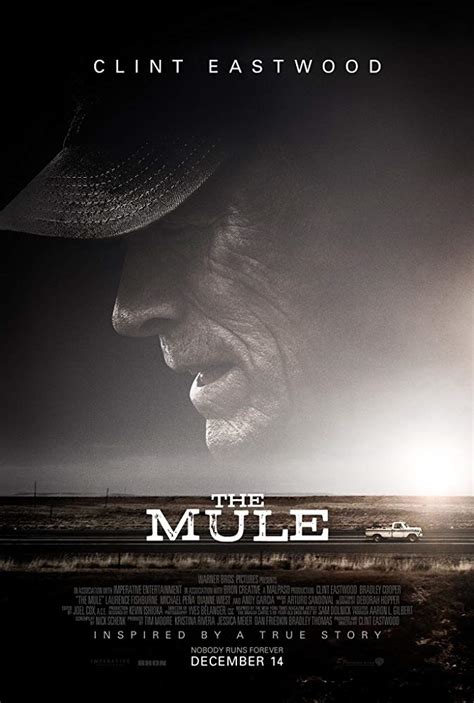 the mule watch|watch the mule 123movies.